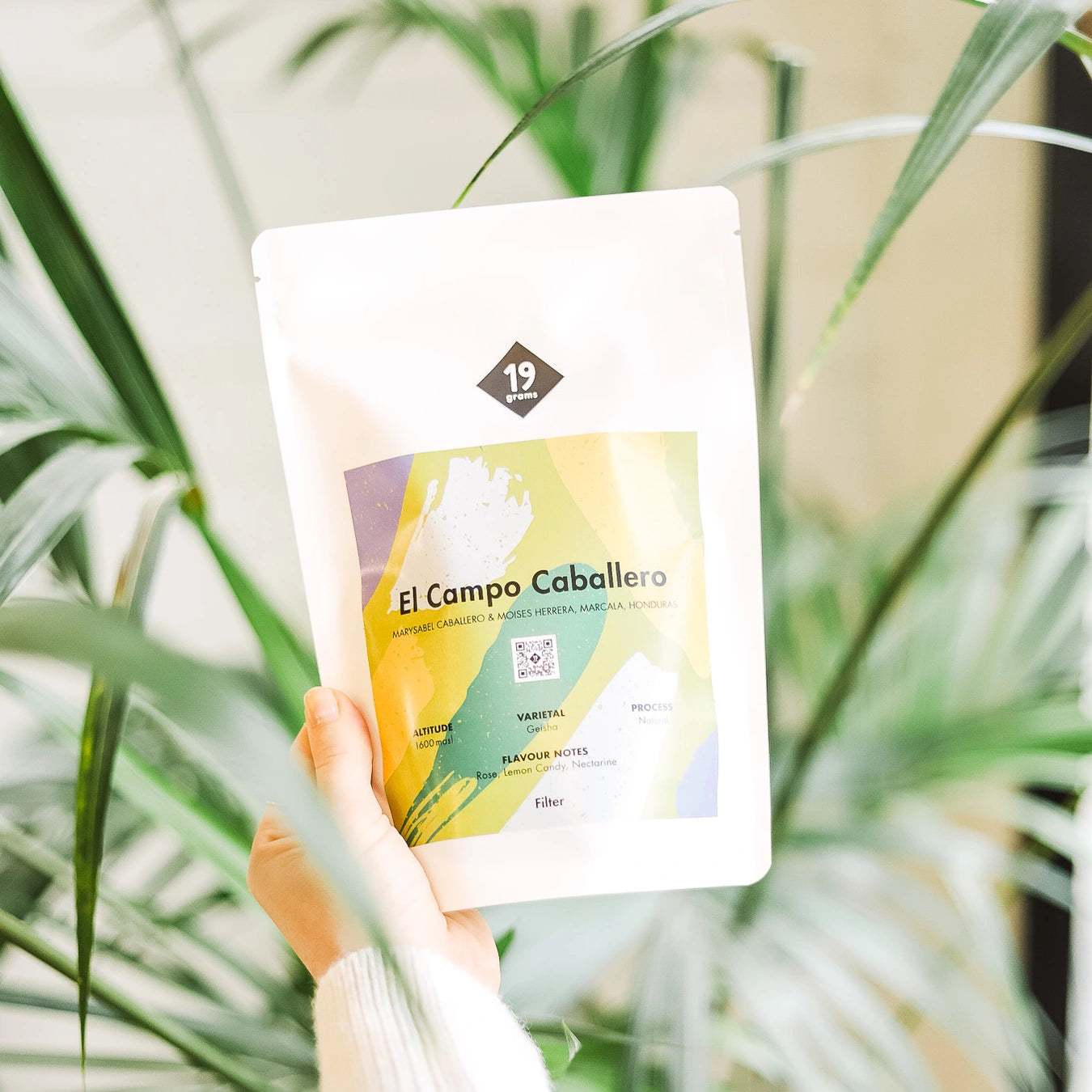 19grams-caballero-el-campo-honduras-filterkaffee-geisha image 2