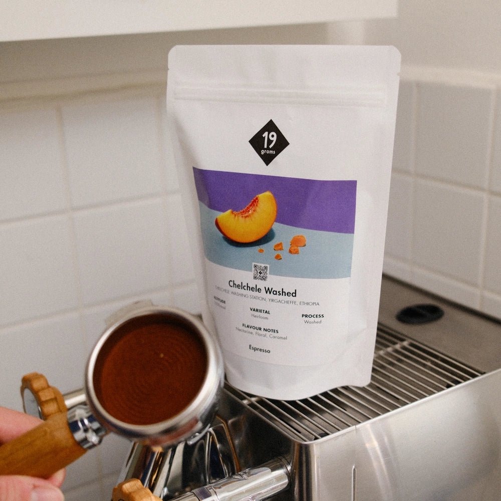 19grams-chelchele-washed-thiopien-espresso image 2