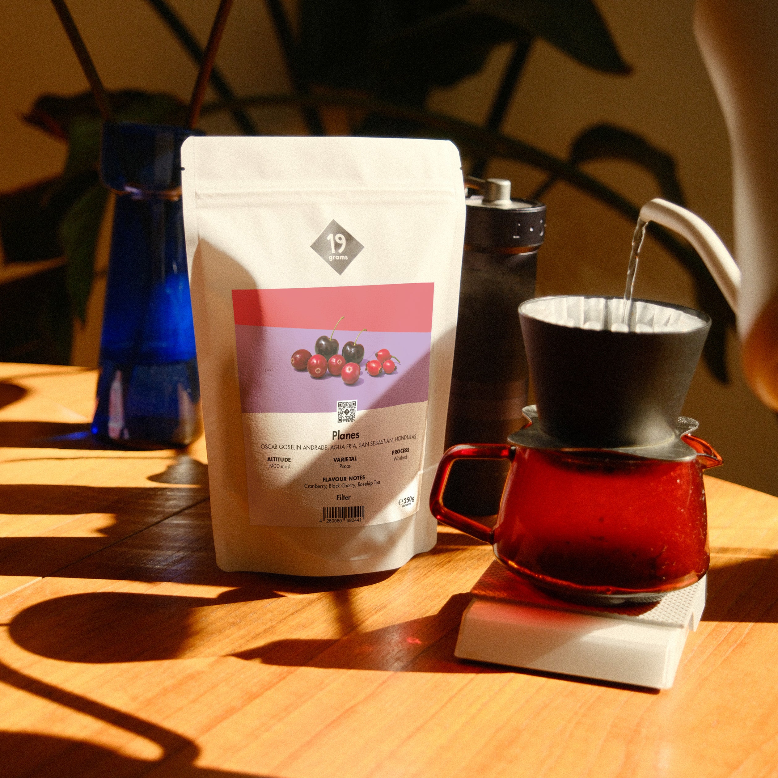 19grams-los-planes-honduras-filterkaffee-pacas image 2