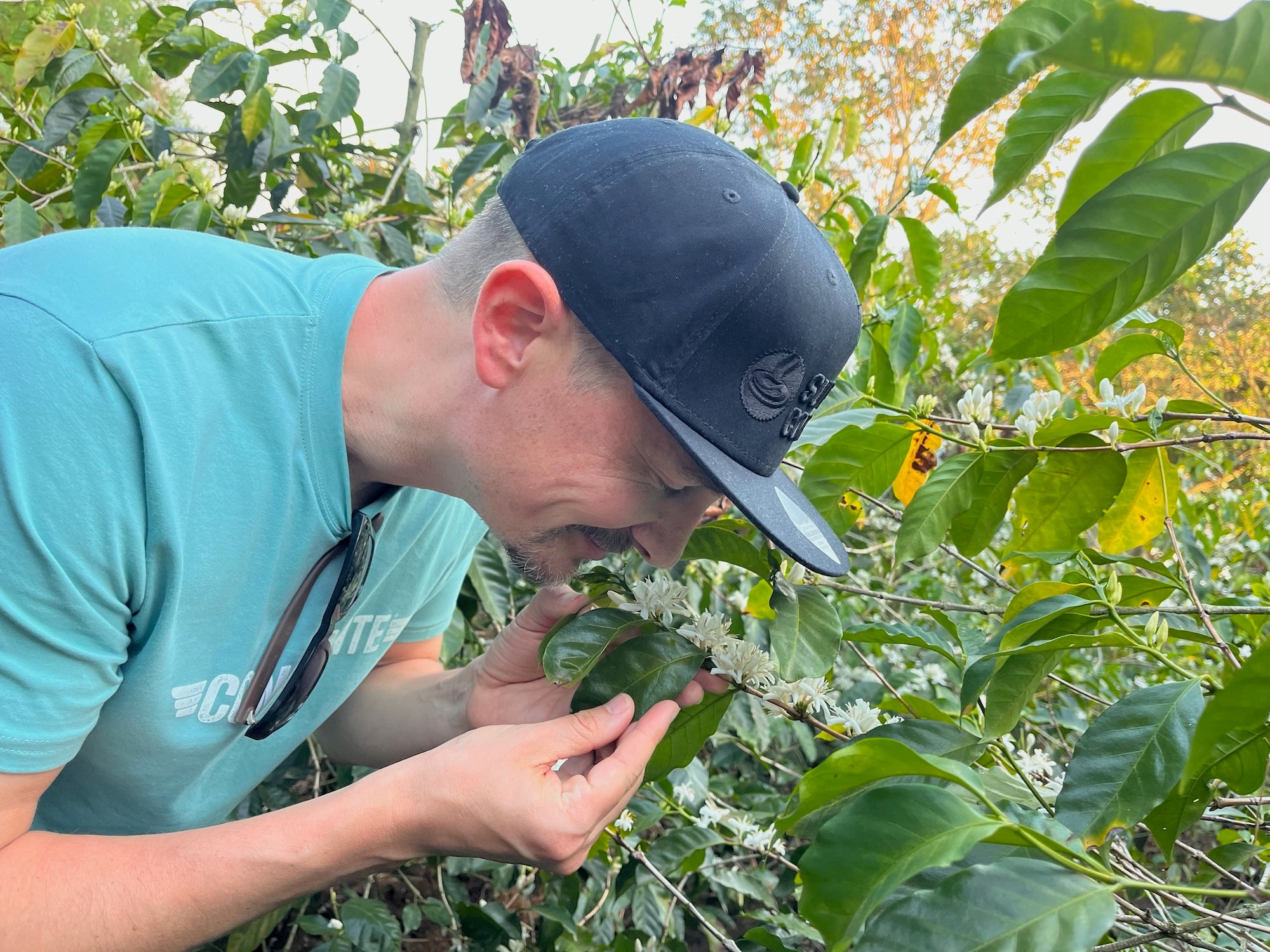 supremo-to-o-wush-wush-costa-rica-microlot-filterkaffee image 6
