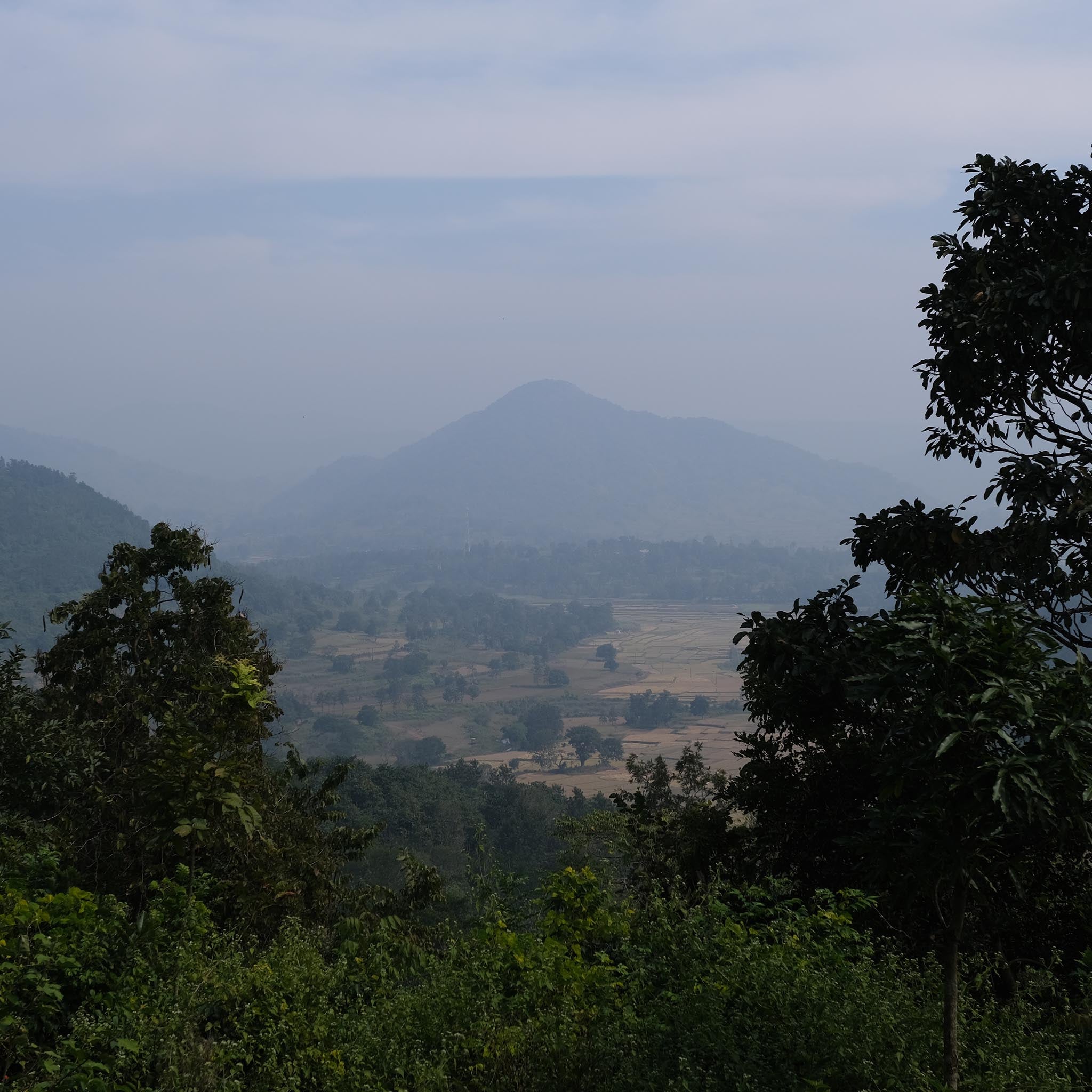 elbgold-red-truck-espresso-indien-araku-valley-espressor-stung image 4