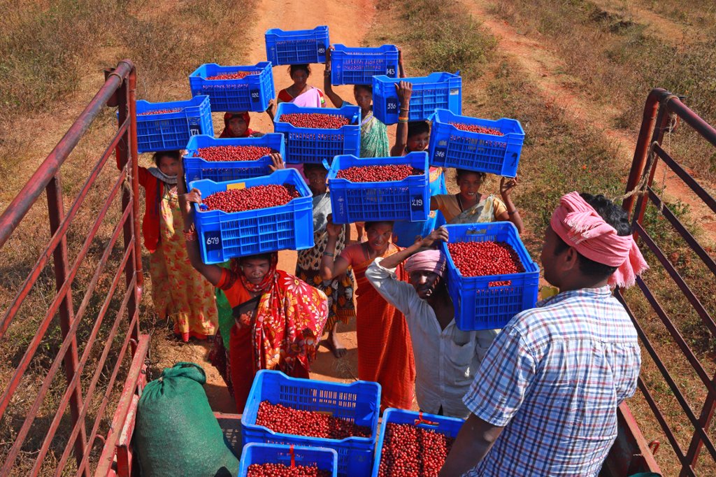 supremo-babu-bio-filterkaffee-indien-natural-selection-9 image 4