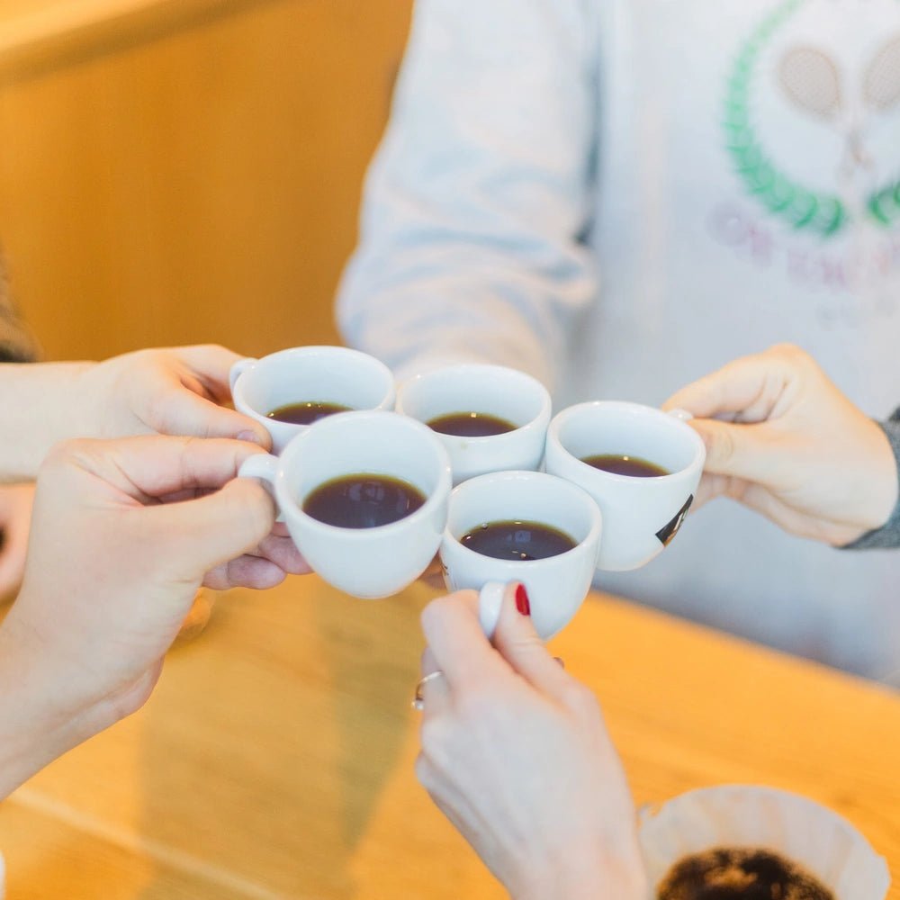 19grams-filterkaffee-kurs-berlin-alex-br-hkurs-v60-kalita-aeropress-chemex image 4