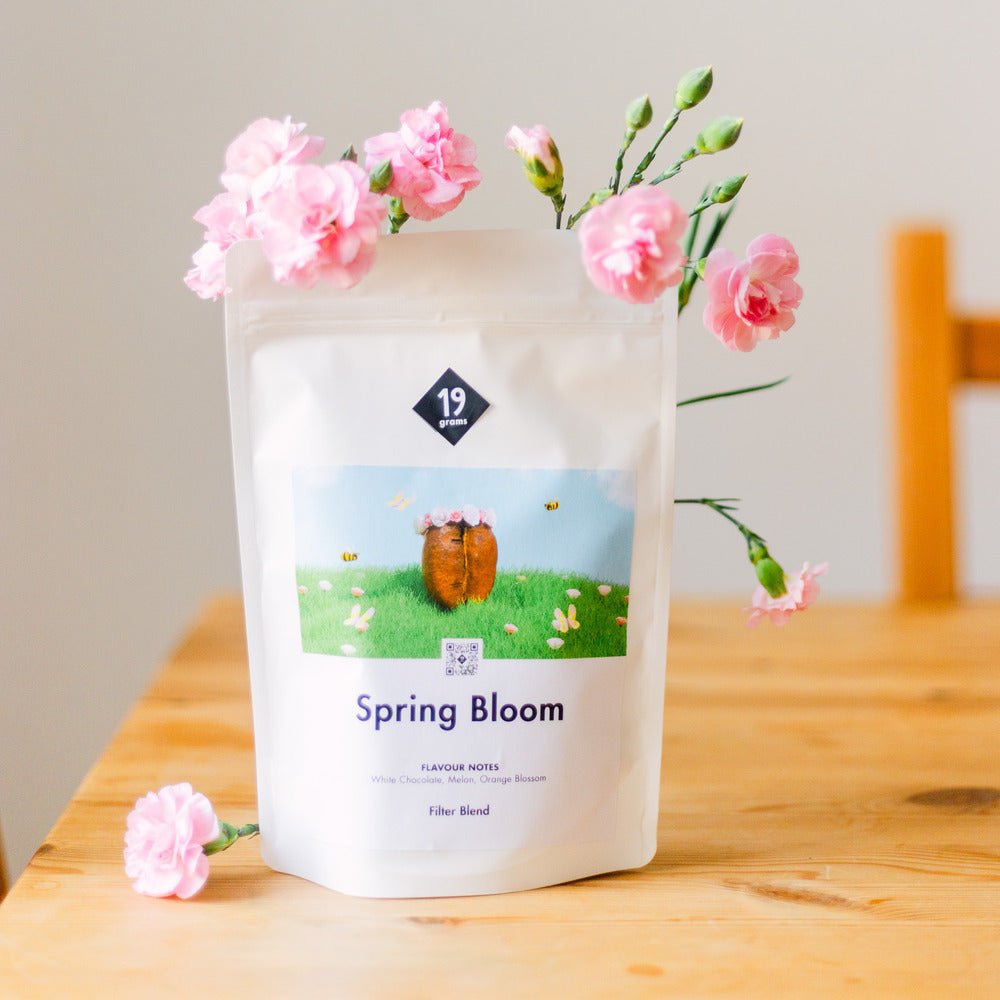 19grams-spring-bloom-filterr-stung-kaffee-abo image 2