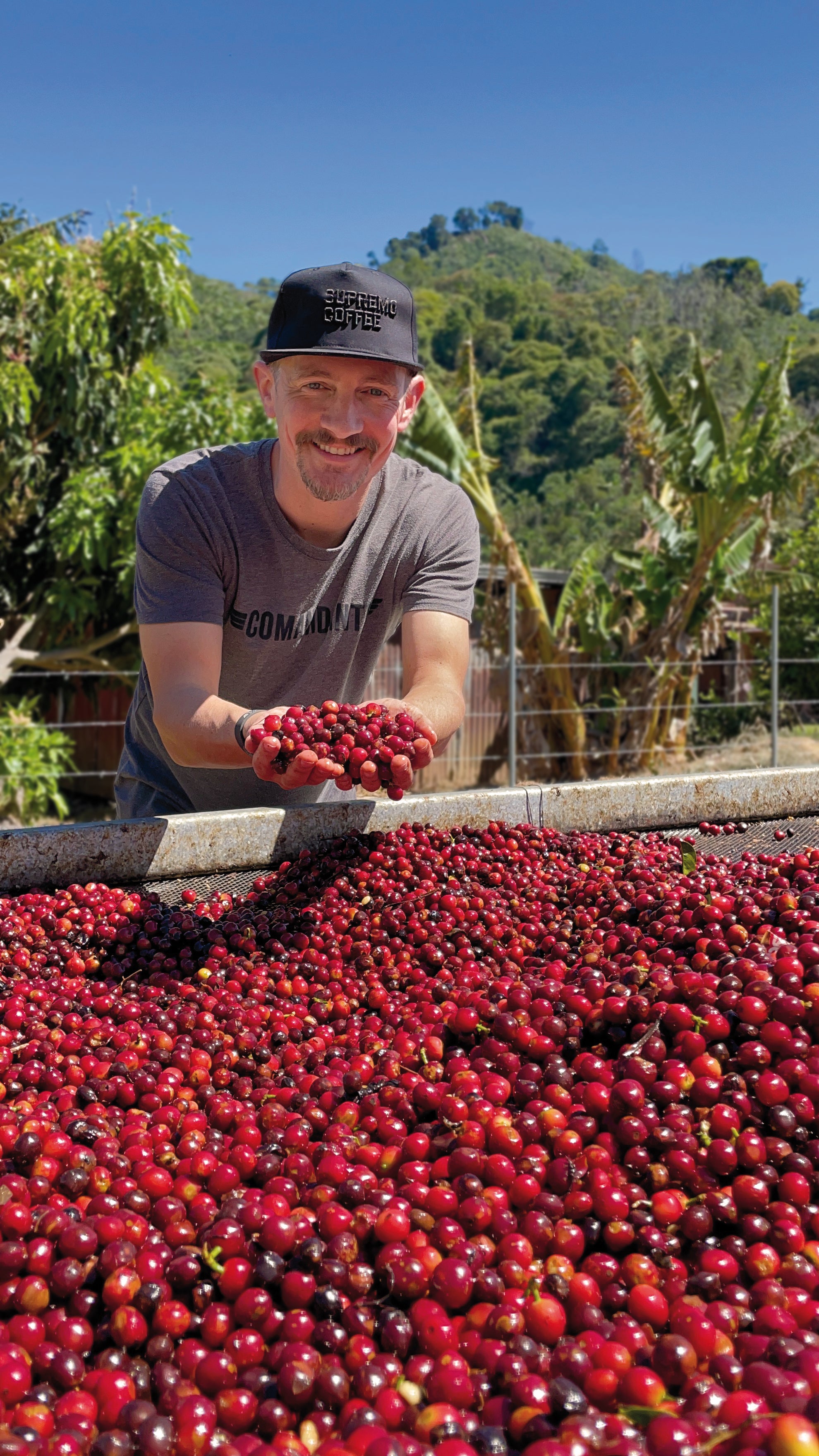 supremo-finca-dona-elsa-et47-filterkaffee-costa-rica-anaerobic image 8