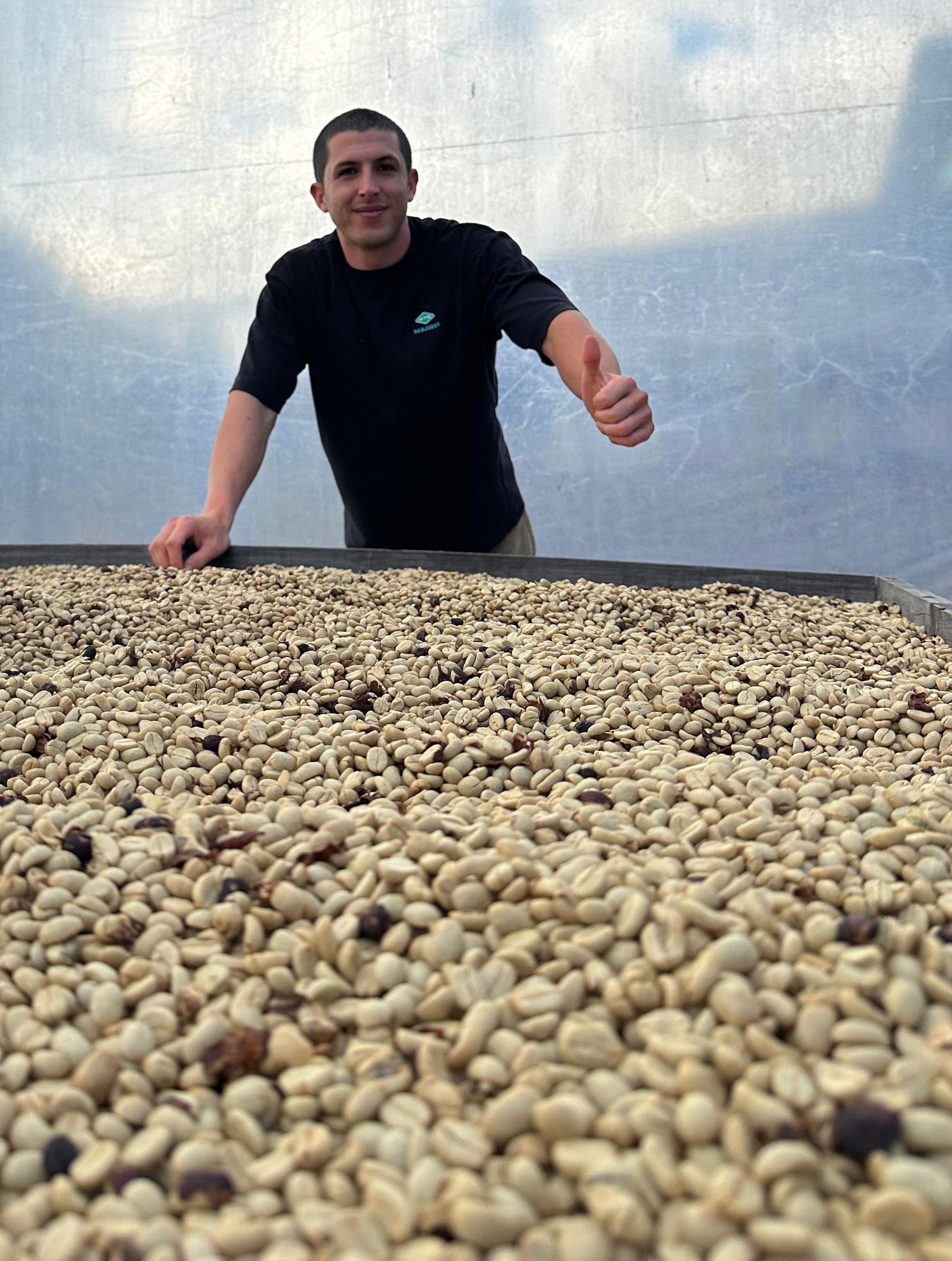 supremo-santa-teresa-filterkaffee-costa-rica-yellow-honey image 2