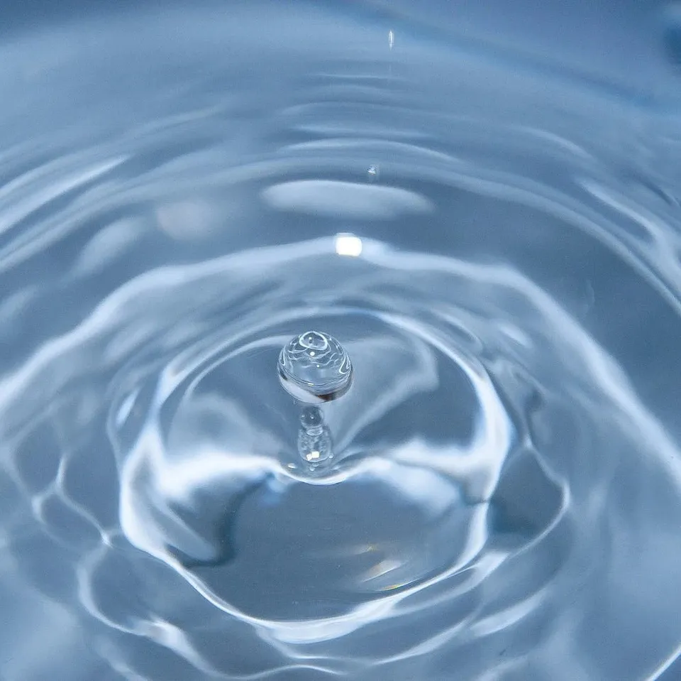 19grams-special-there-s-something-in-the-water-kaffeekurs image 1