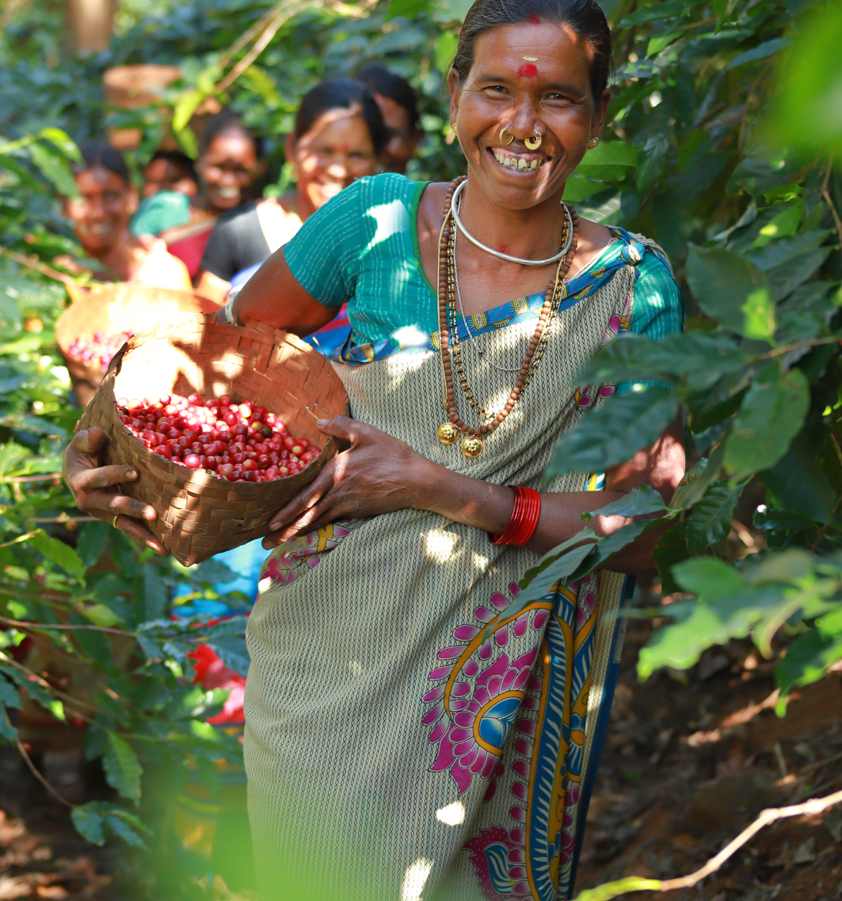 supremo-babu-bio-filterkaffee-indien-natural-selection-9 image 3