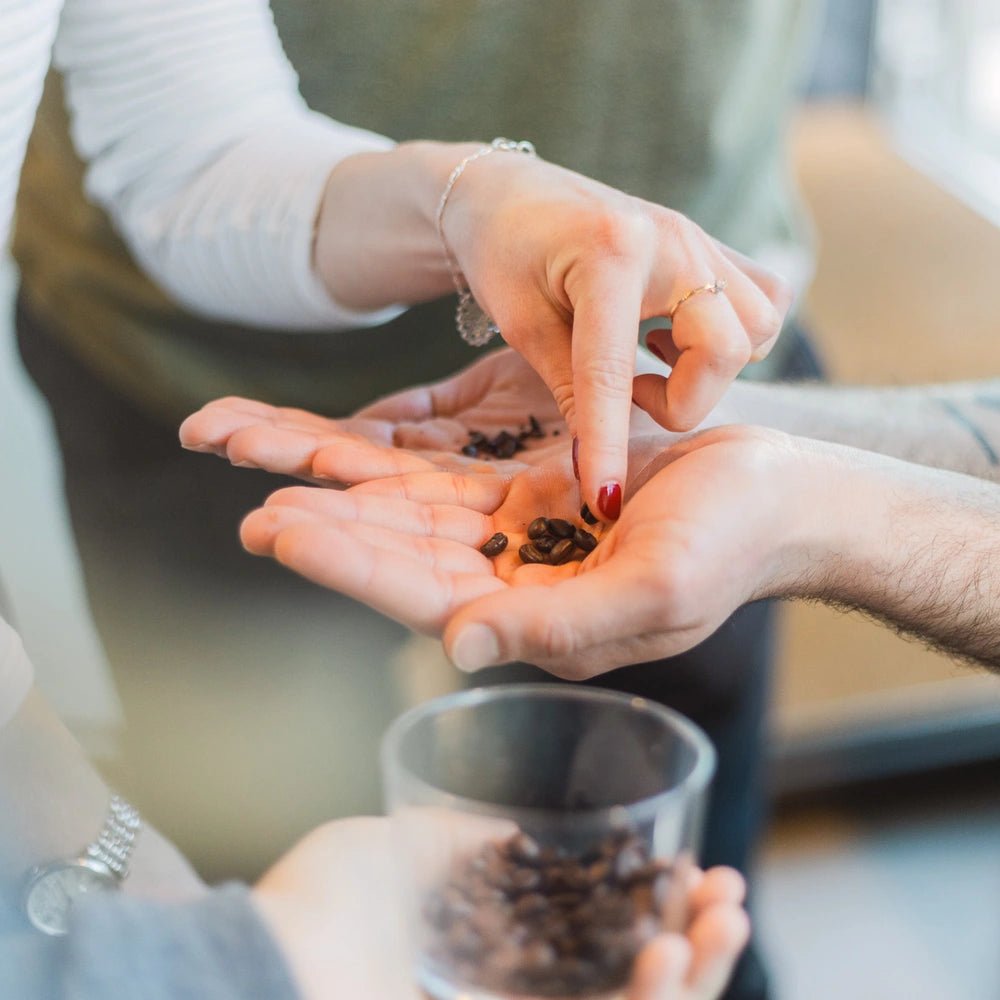 19grams-einf-hrung-in-specialty-coffee-kurs-berlin image 2