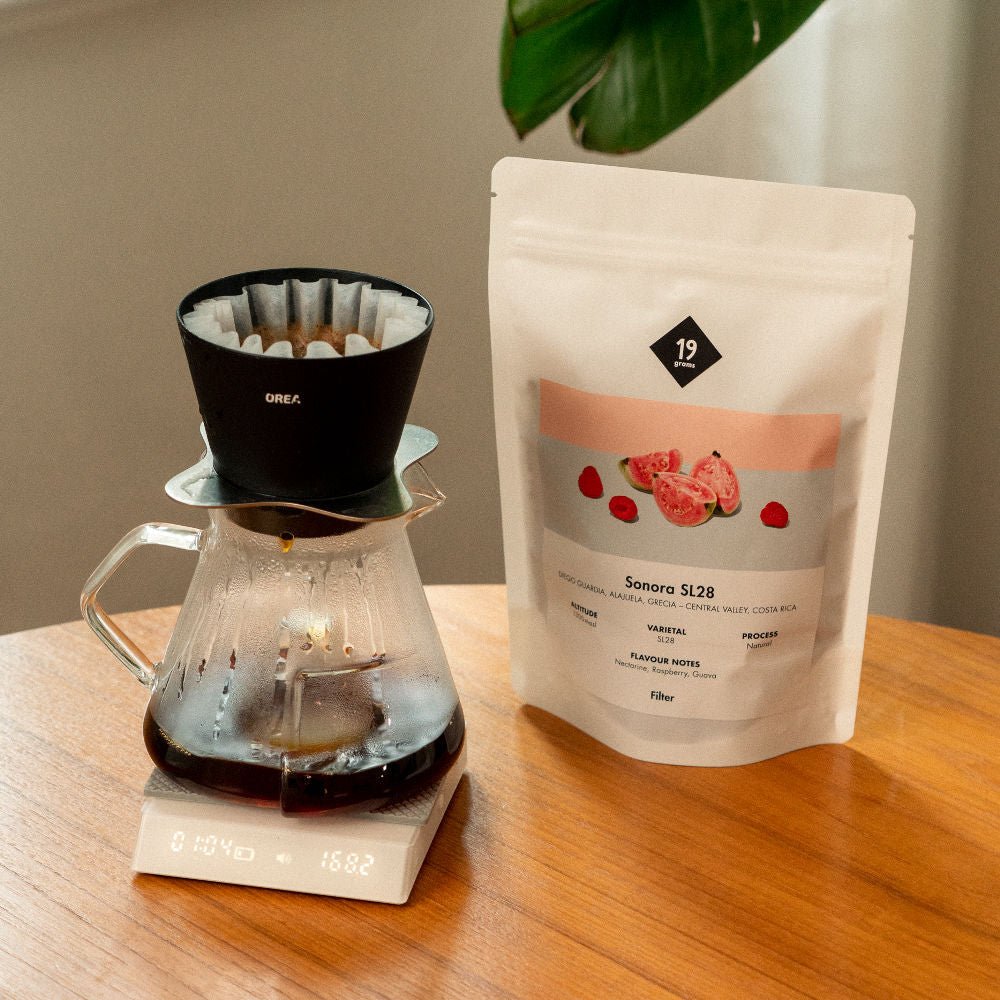 19grams-sonora-sl28-costa-rica-filterkaffee image 2