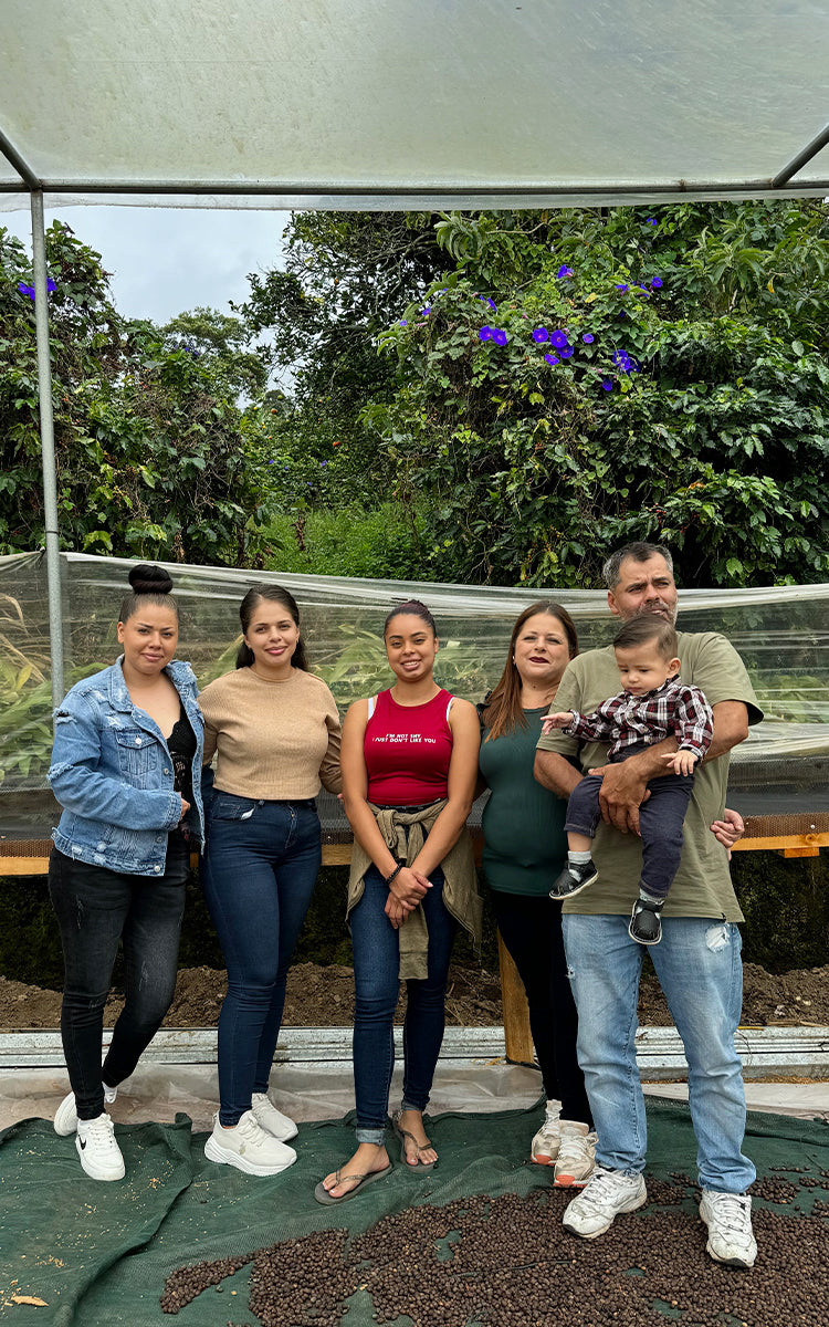 supremo-las-hermanas-filterkaffee-costa-rica-washed image 6