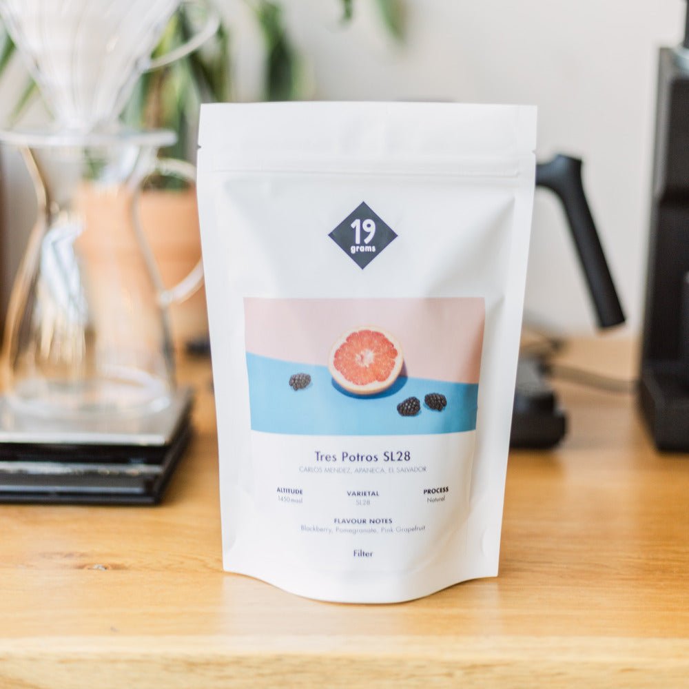 19grams-los-tres-potros-sl28-filterkaffee-el-salvador image 2