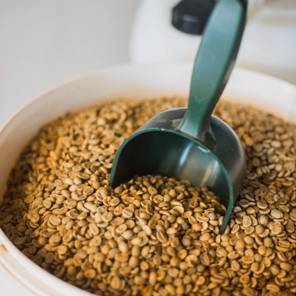 19grams-einf-hrung-in-kaffeer-sten-kurs-berlin image 4