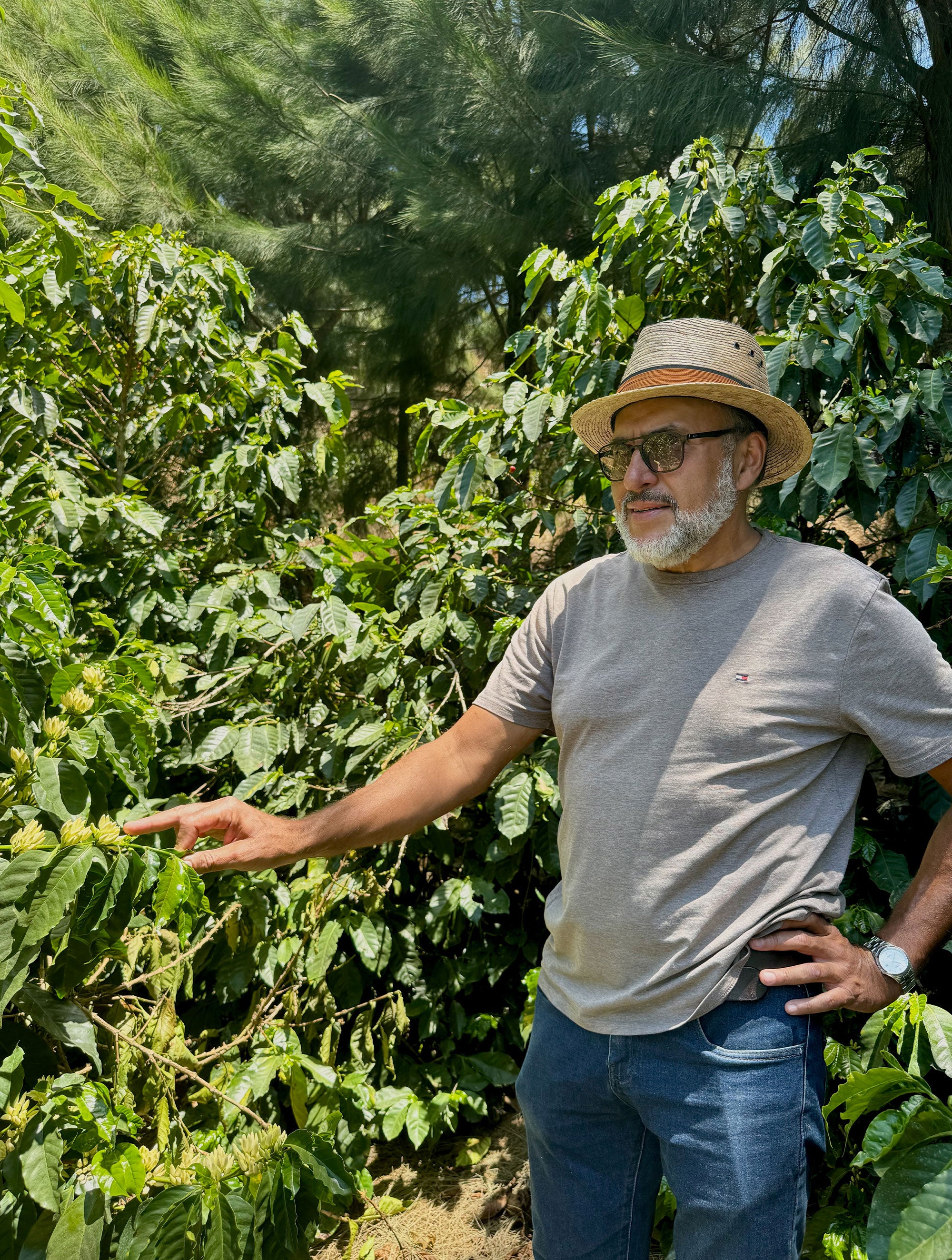 supremo-familia-perez-costa-rica-yellow-honey-filterkaffee-micro-lot image 6