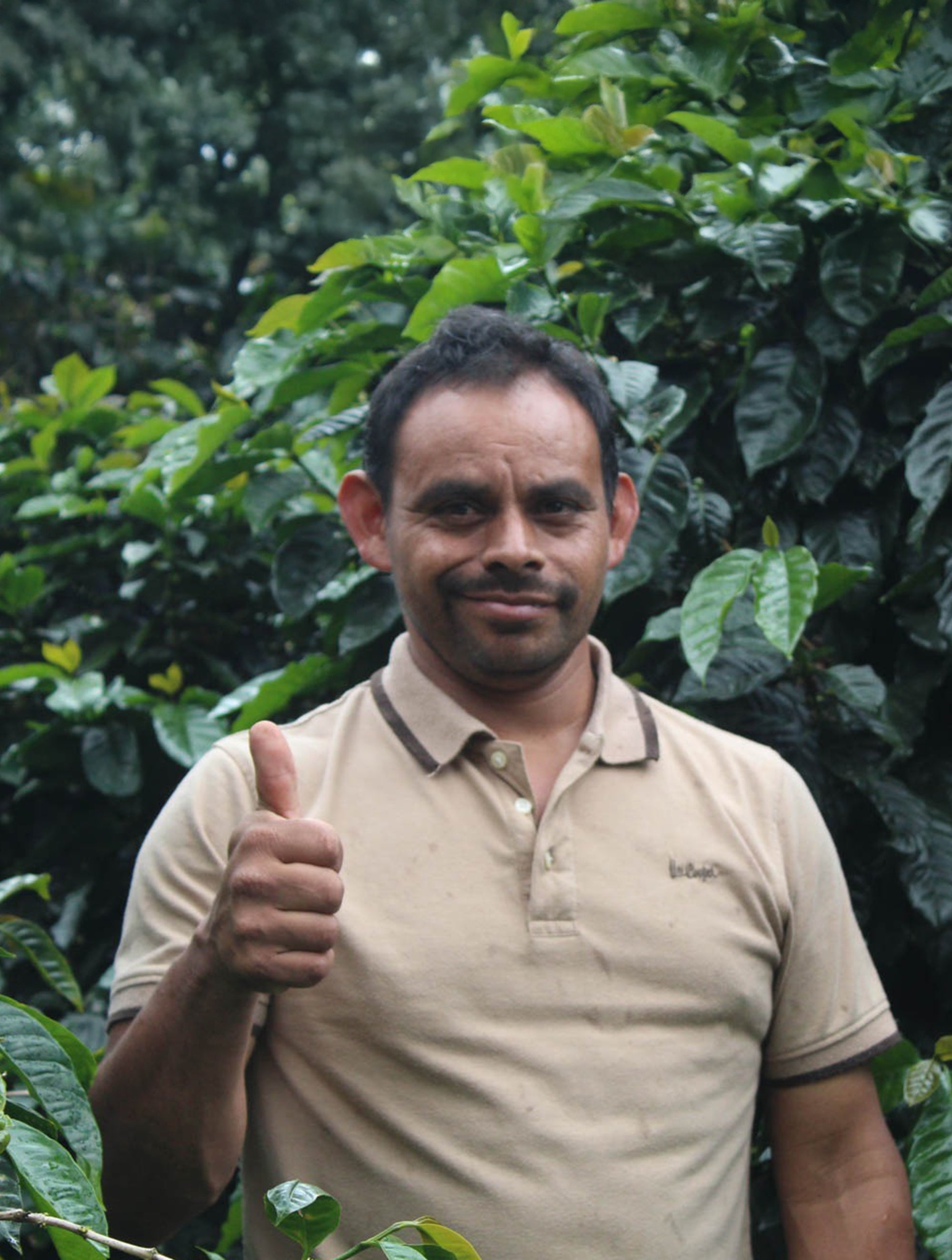 supremo-solidaridad-filterkaffee-nicaragua-cup-of-excellence image 2