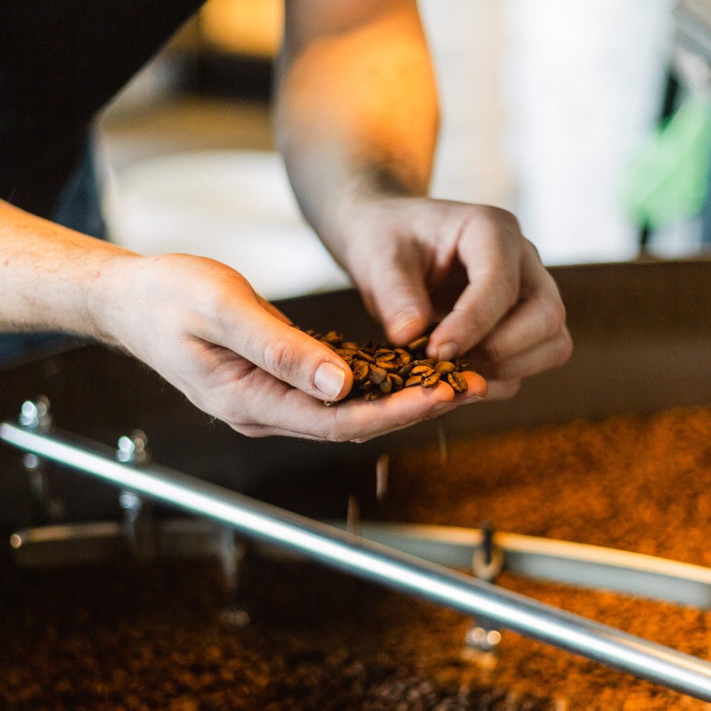 19grams-einf-hrung-in-kaffeer-sten-kurs-berlin image 2