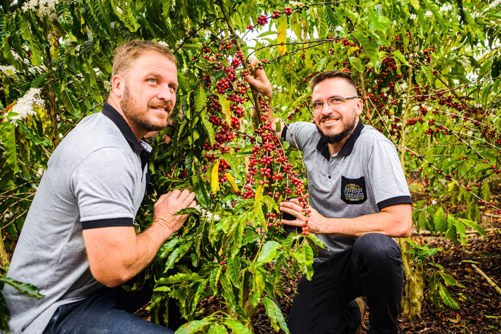 supremo-fazenda-venturim-espresso-brasilien-100-robusta image 3