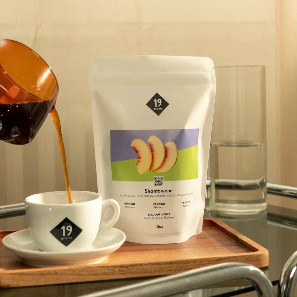 19grams-shantawene-natural-thiopien-filterkaffee image 2