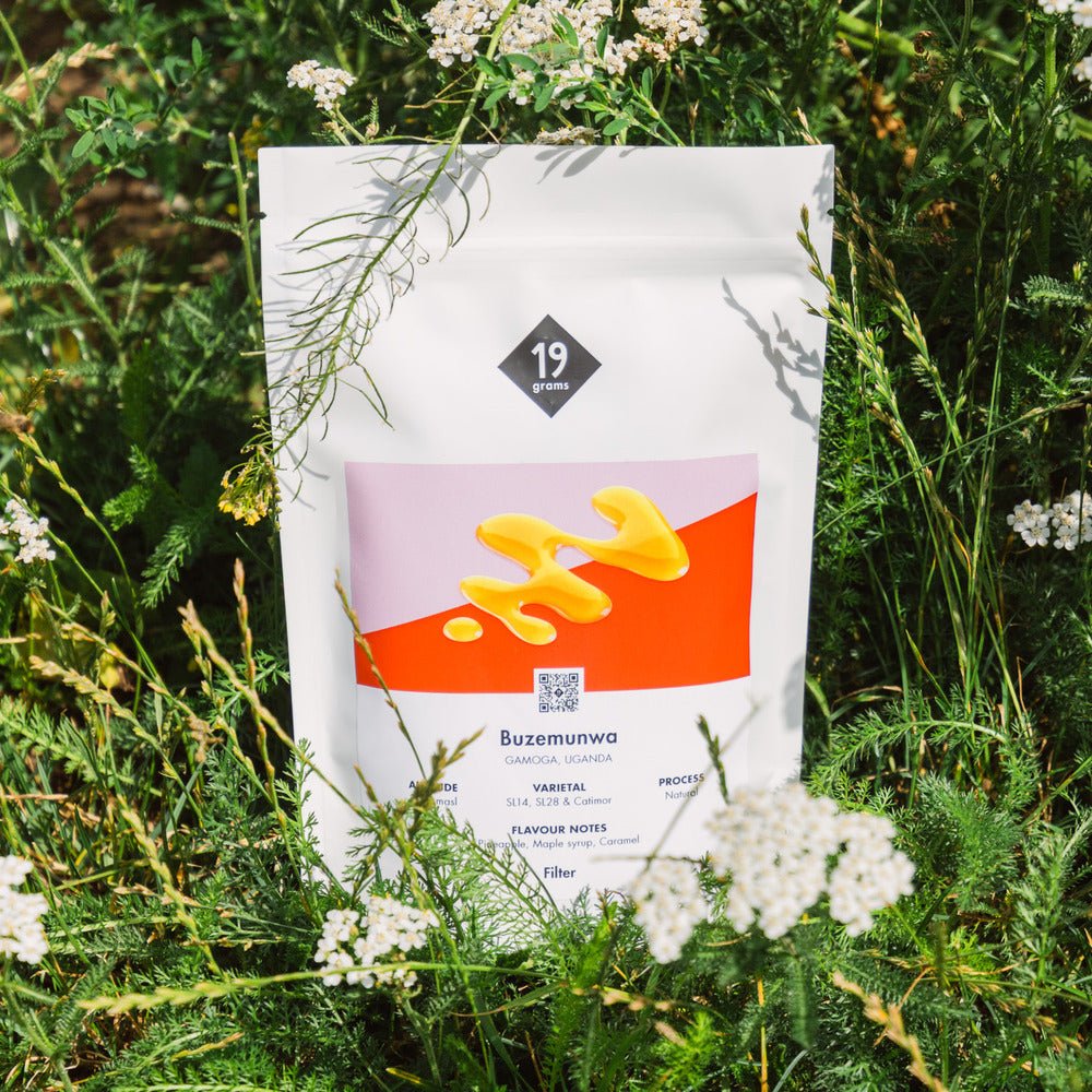 19grams-buzemunwa-uganda-filterkaffee-natural image 2