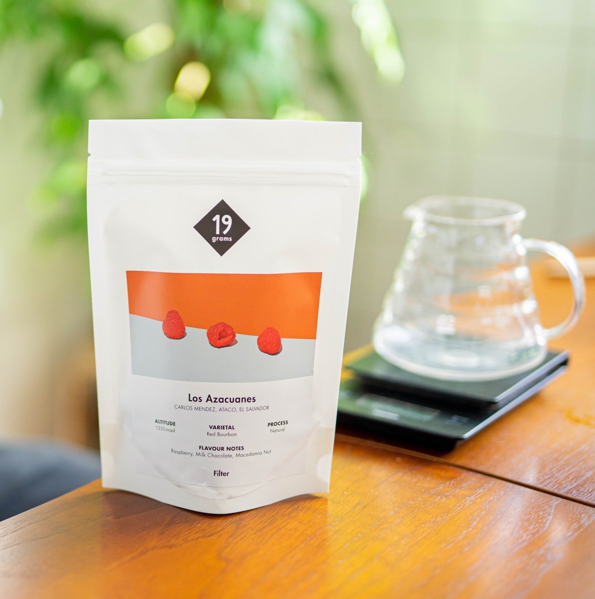 19grams-los-azacuanes-el-salvador-filterkaffee image 2