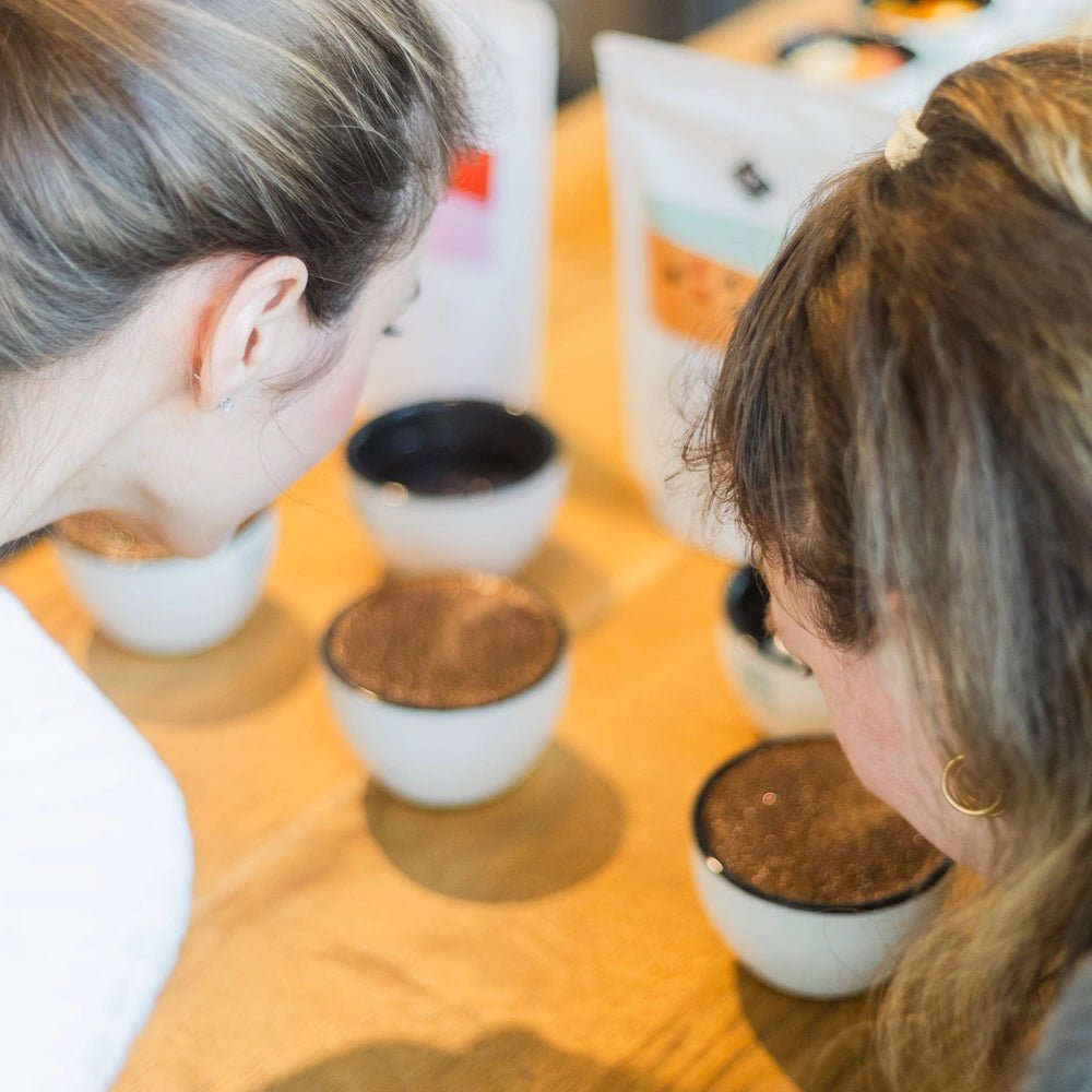 19grams-kaffeeverkostung-sensorik-kurs-2-2-5-stunden image 3