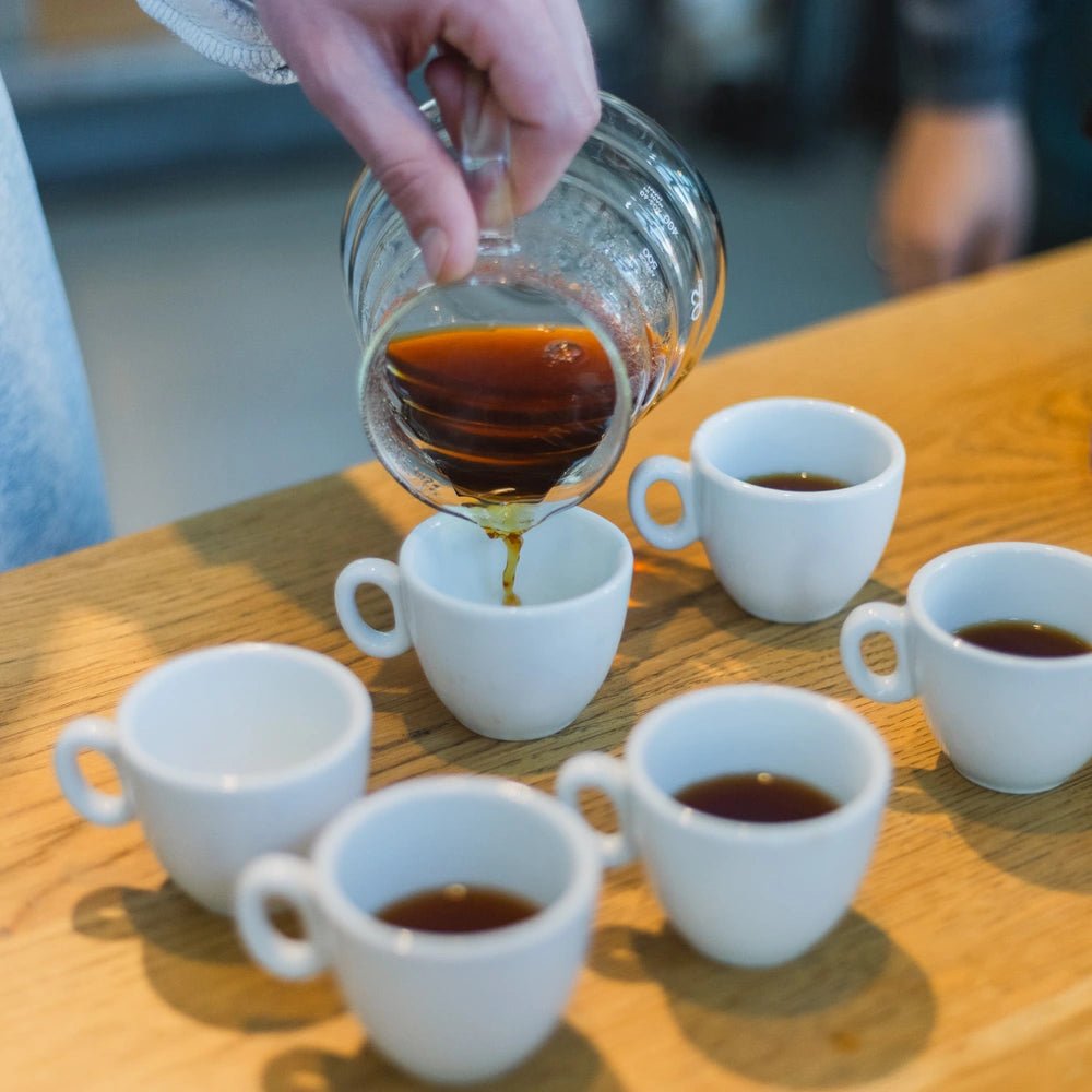 19grams-filterkaffee-kurs-berlin-alex-br-hkurs-v60-kalita-aeropress-chemex image 3